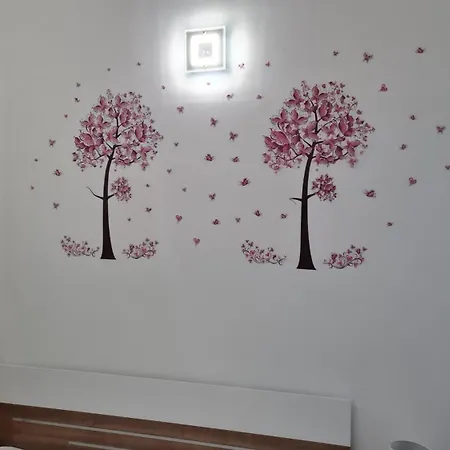 Gostinjska kuća Velvet Starigrad Paklenica