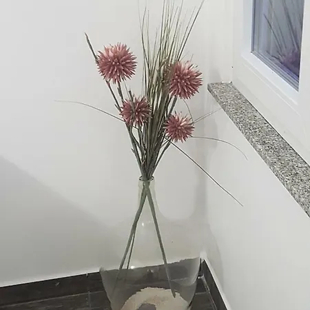 Vila Velvet Penzion Starigrad Paklenica