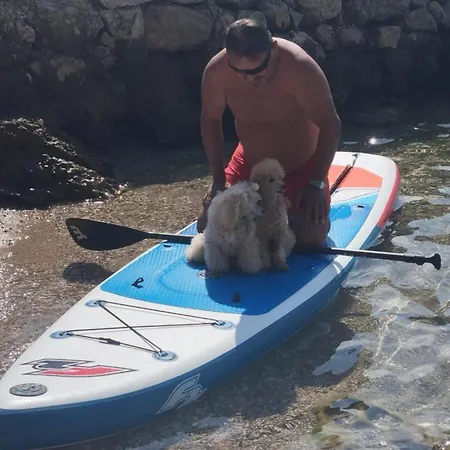 ゲストハウス Velvet 3*