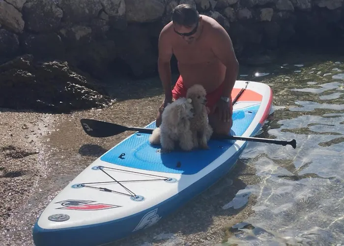 게스트하우스 Velvet 3*