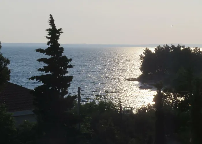 Velvet 스타리그라드 파클레니차