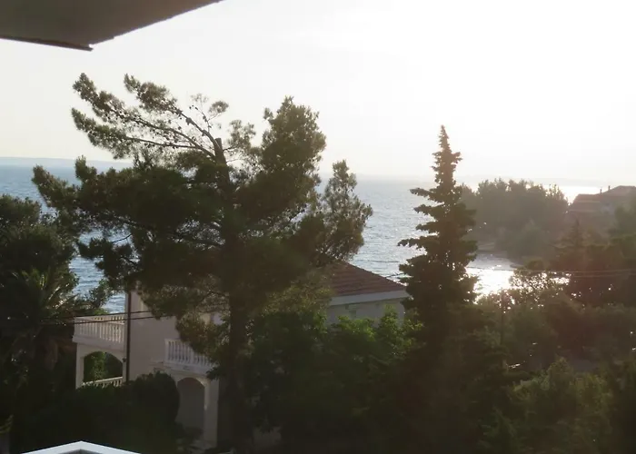 Velvet 게스트하우스 3*