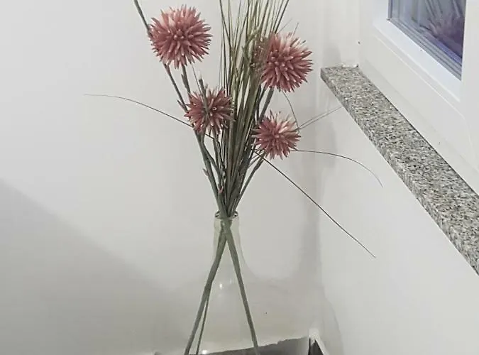 Velvet 게스트하우스 스타리그라드 파클레니차