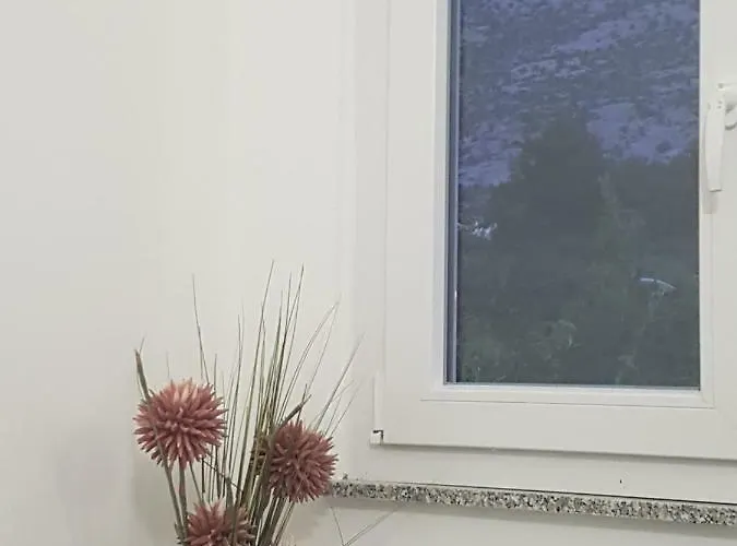 게스트하우스 Velvet 스타리그라드 파클레니차