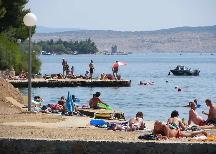 Velvet 스타리그라드 파클레니차