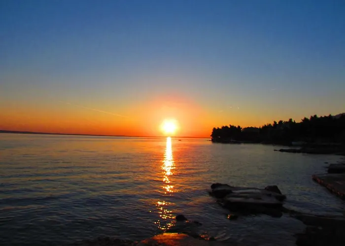 Velvet 게스트하우스 3*